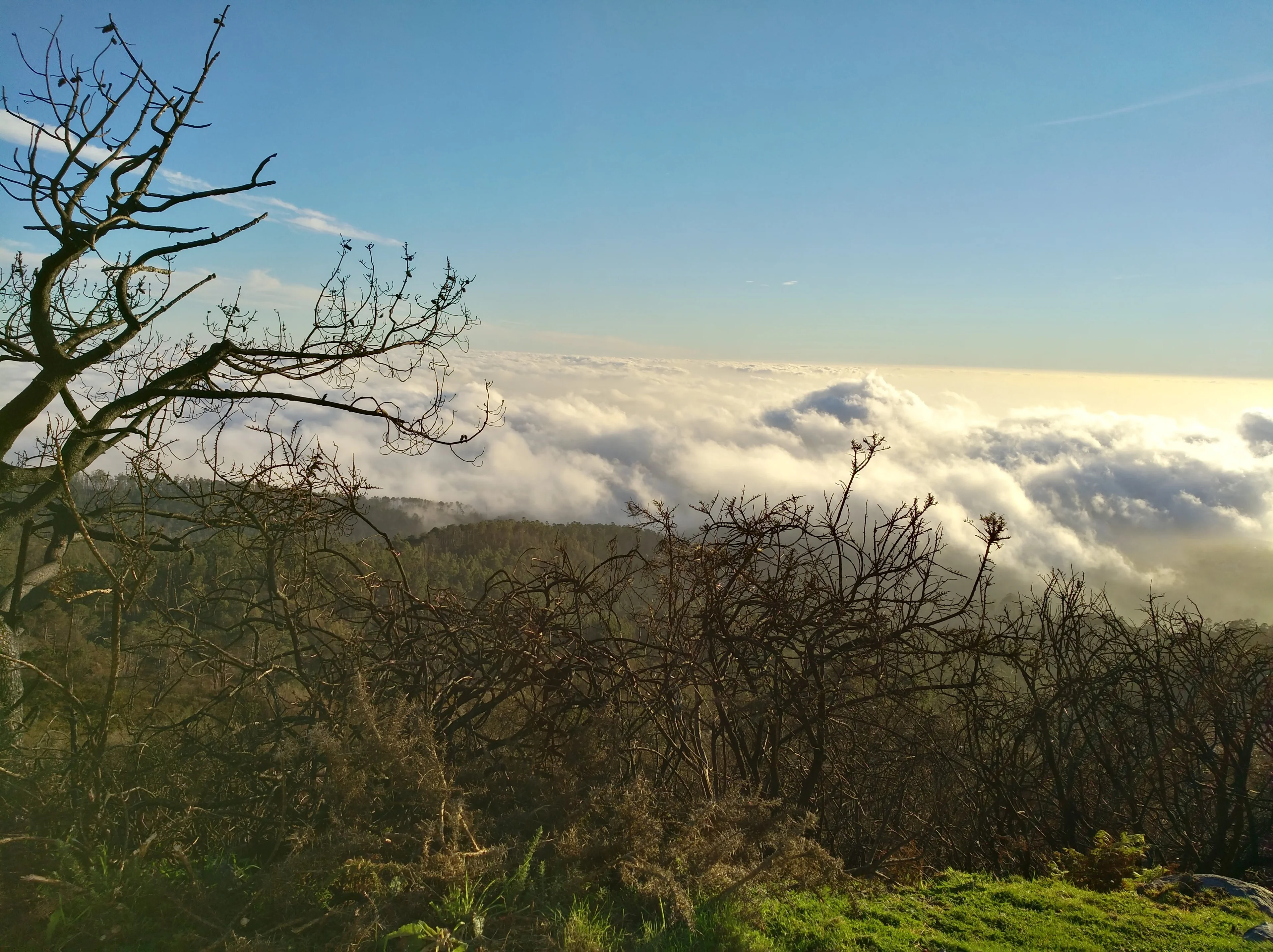 Cloud connected in Madeira