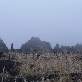 Lava at Izu Oshima in Japan