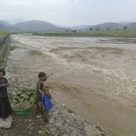 Wadi Flash Flood in Alamata (Ethiopia)