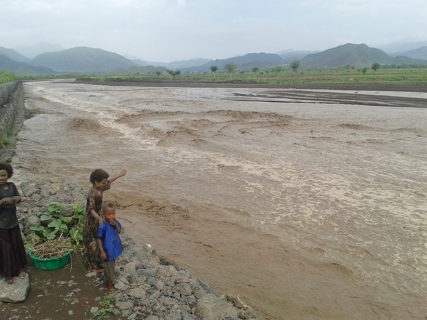Wadi Flash Flood in Alamata (Ethiopia)