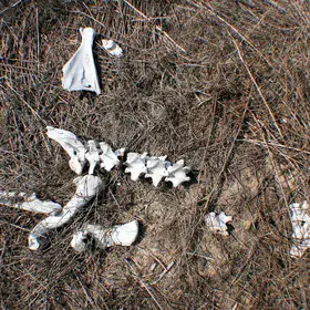 Death closes the circle
