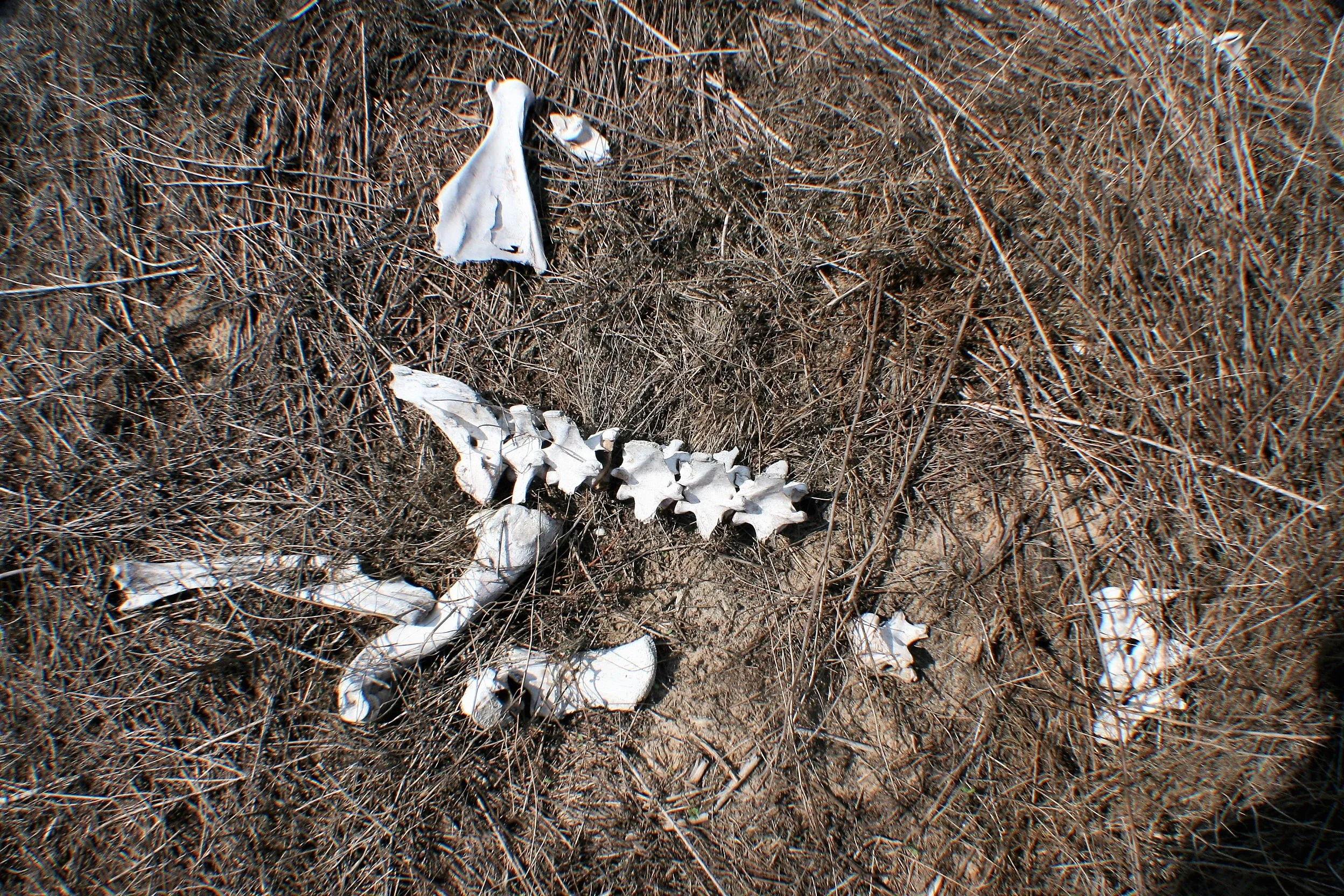 Death closes the circle