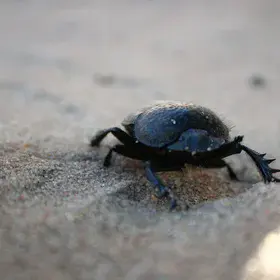I just dropped by to say hello