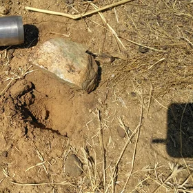 After a wildfire, rock fragments preserve soil aggregation