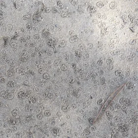 Dripping dime size drops