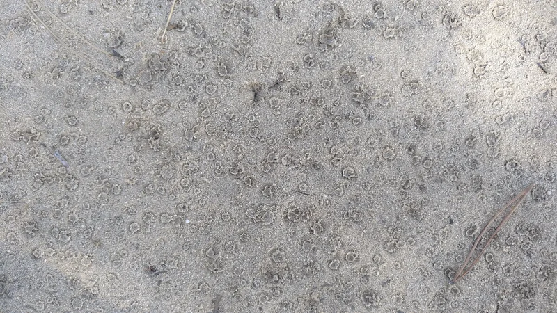 Dripping dime size drops