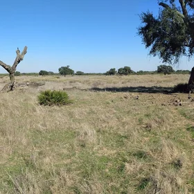 Five years after the wildfire