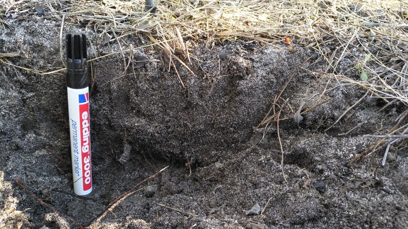 Not just any soil structure