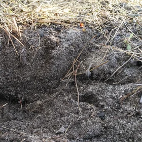 Not just any soil structure