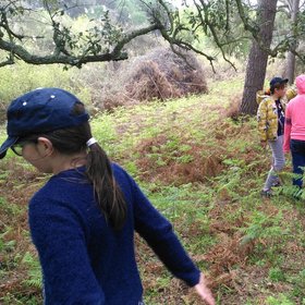 Soil scientists in action: eleven-year-old Aimée, Marina and Yare are helping Diana to collect litter samples