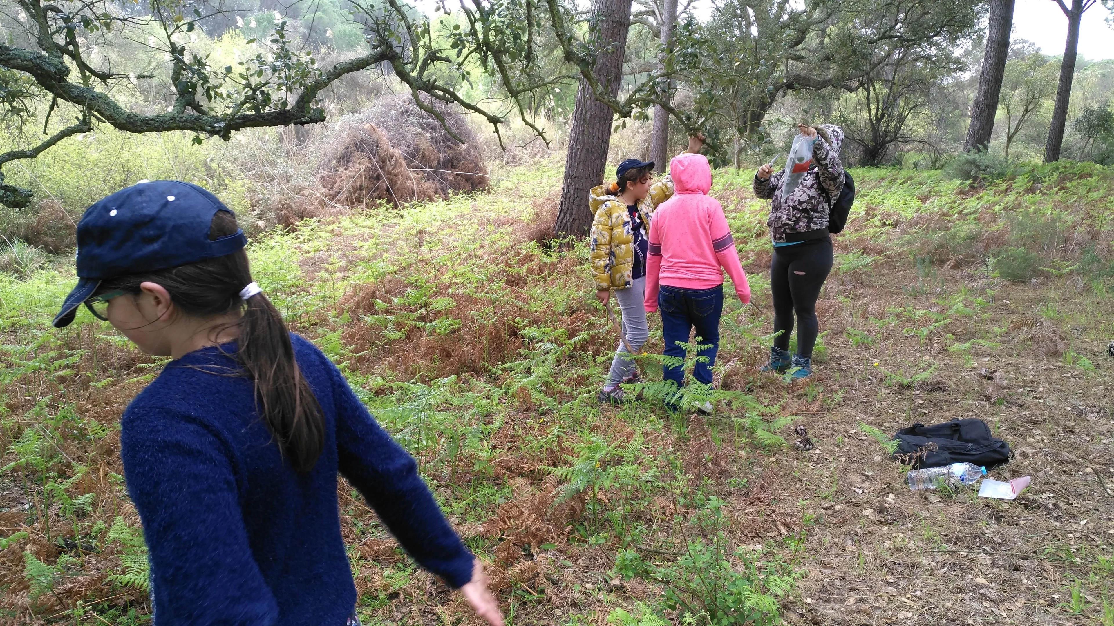 Soil scientists in action: eleven-year-old Aimée, Marina and Yare are helping Diana to collect litter samples