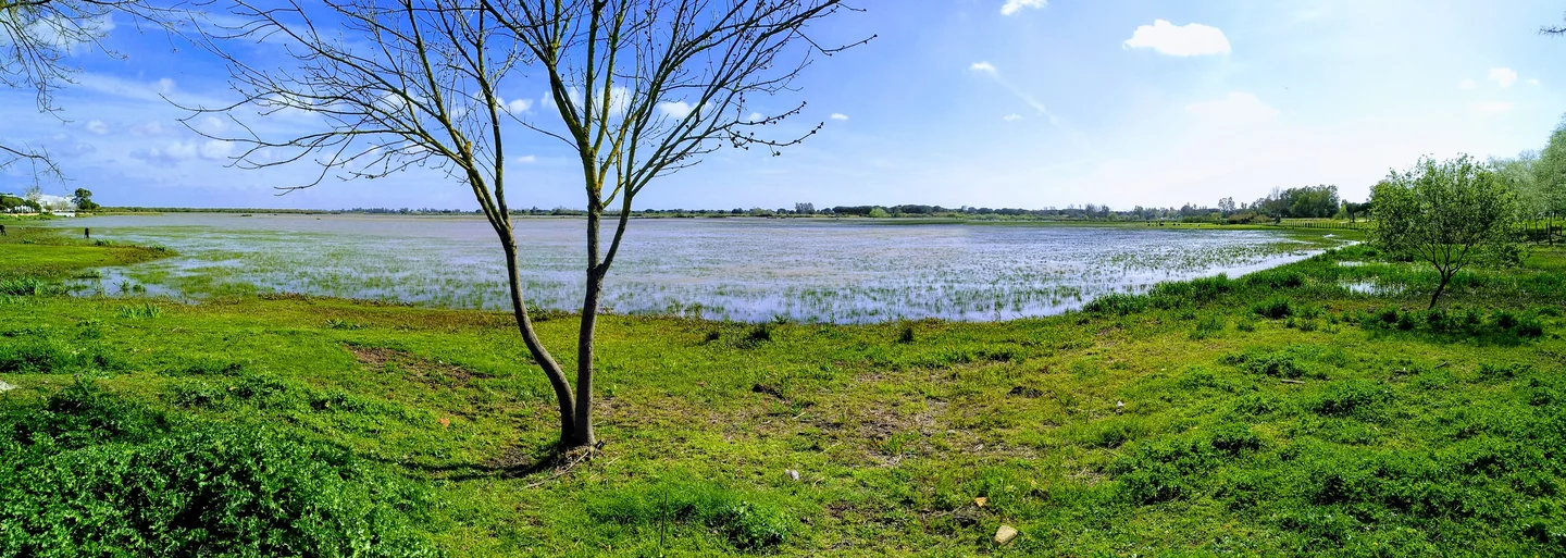 Charco de la Boca near El Rocío