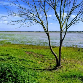 Charco de la Boca near El Rocío