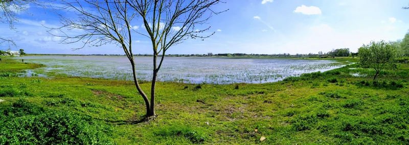 Charco de la Boca near El Rocío
