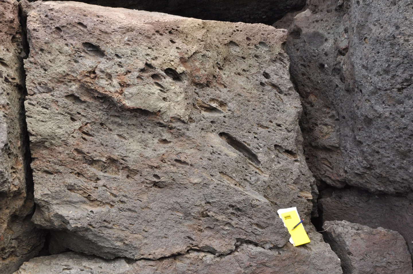 Imbrication of pumices in an ignimbrite