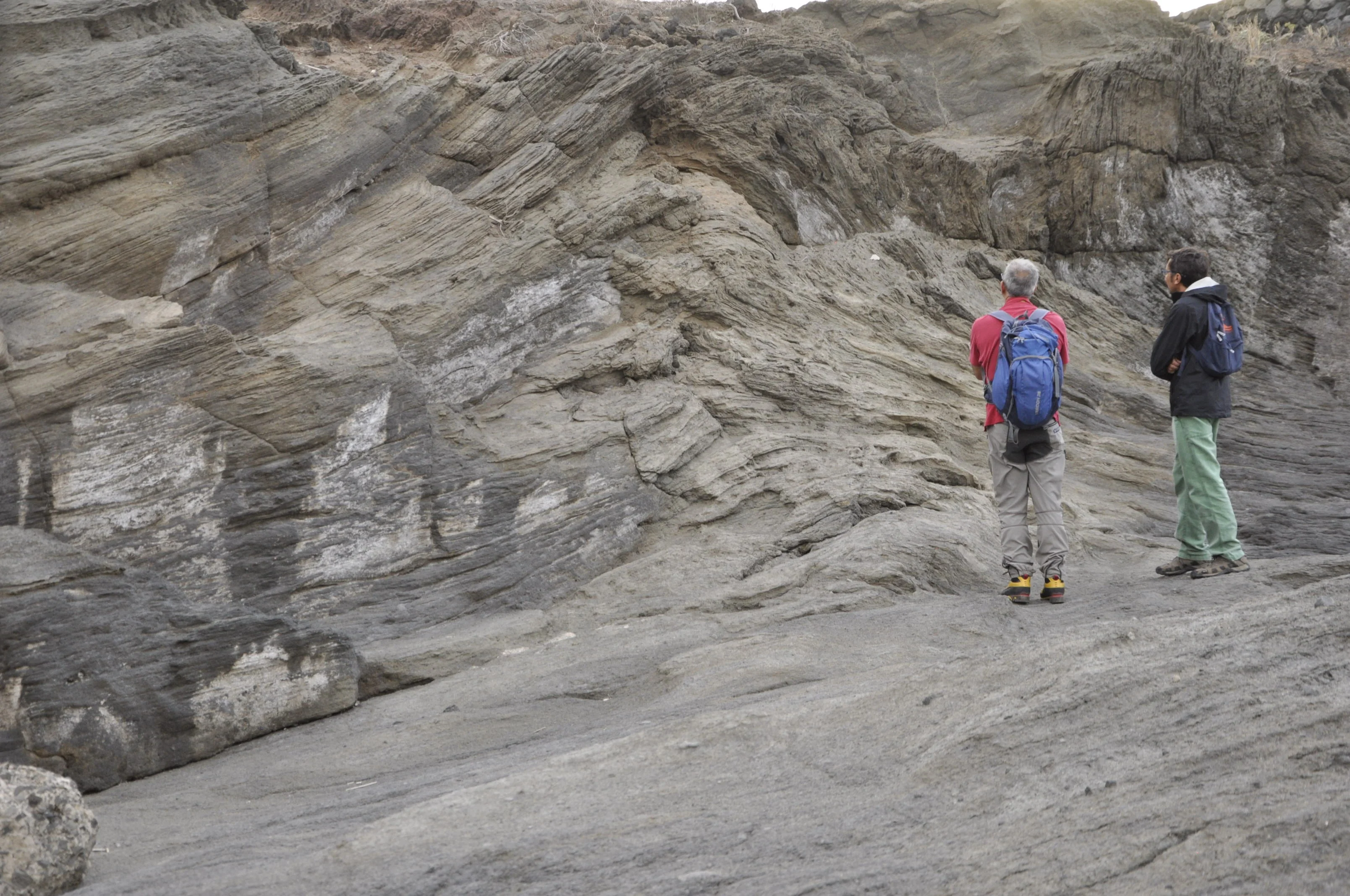 Reflecting on rheomorphic folds on ignimbrites