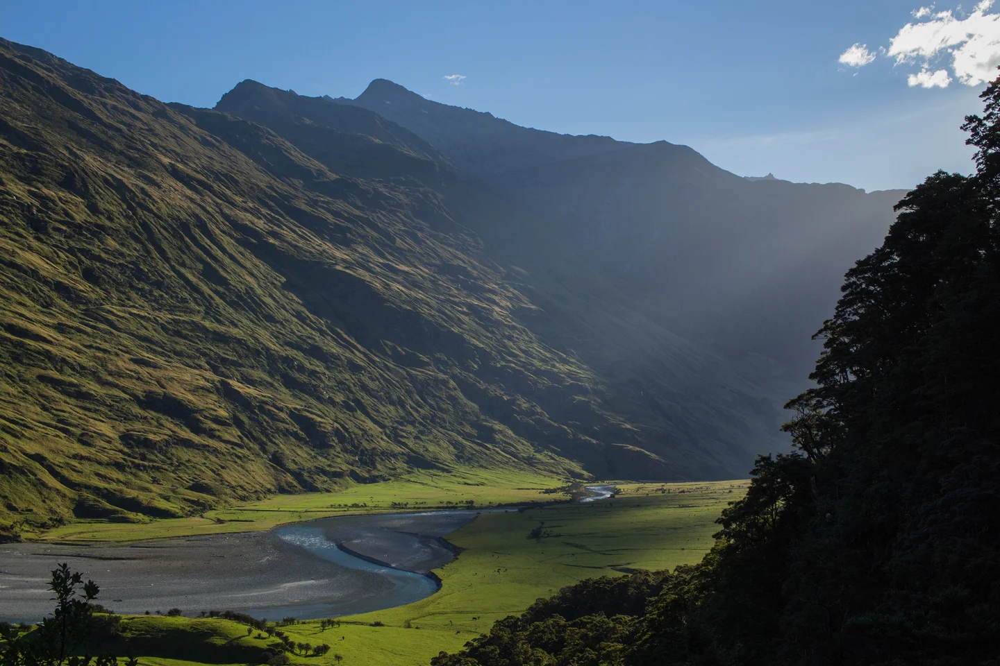Mount Aspiring Glacier Valley