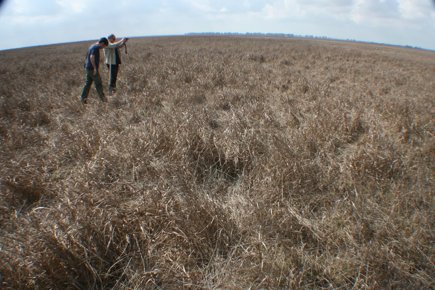 Soil scientists in action: Jag and Nica