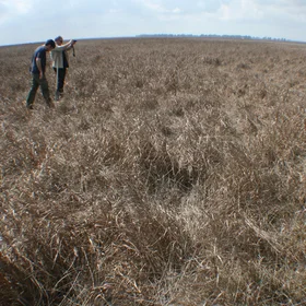 Soil scientists in action: Jag and Nica