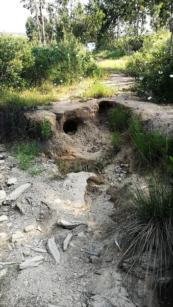 La erosión de la fuerza del agua