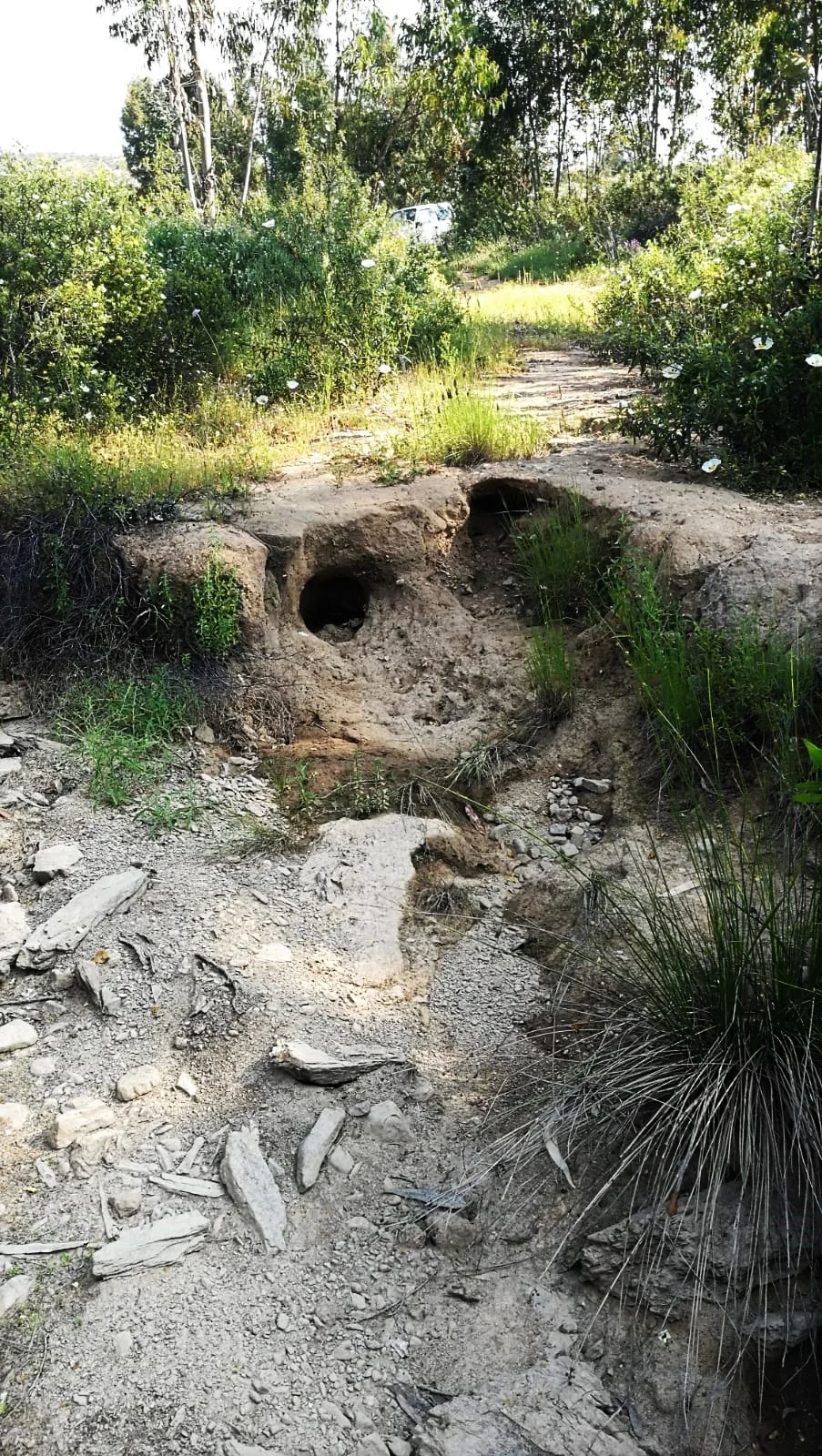 La erosión de la fuerza del agua