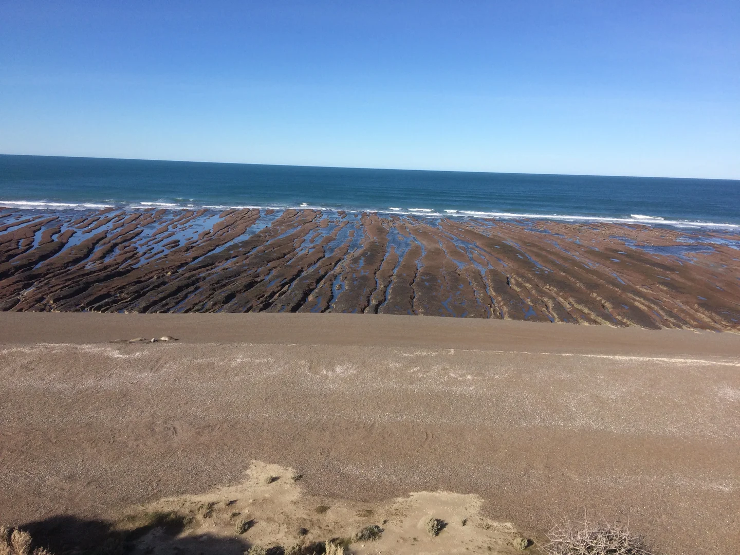 The ground of the sea