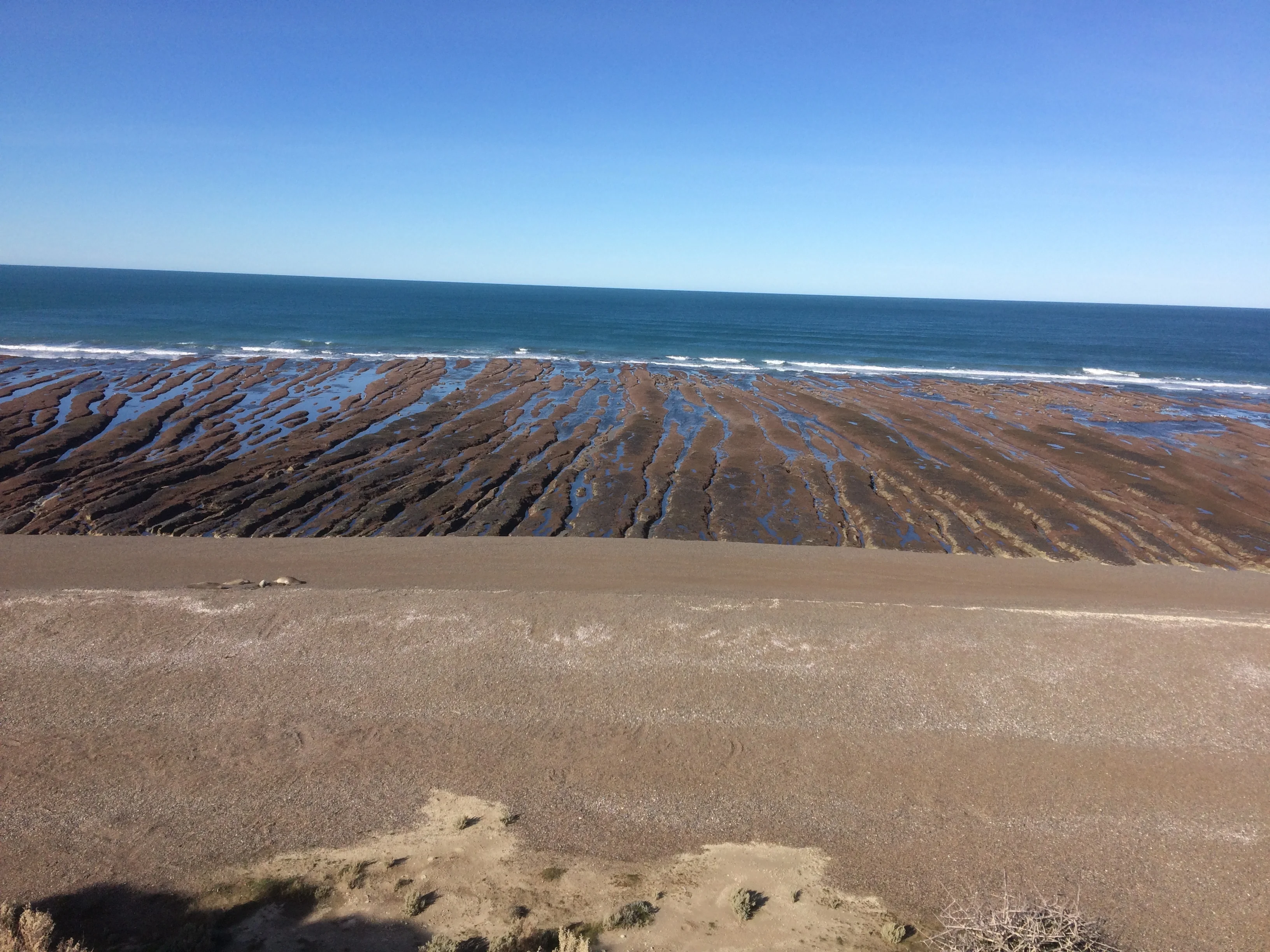 The ground of the sea