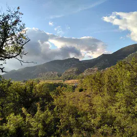 Paisaje al atardecer, Arroyo de Valdivielso