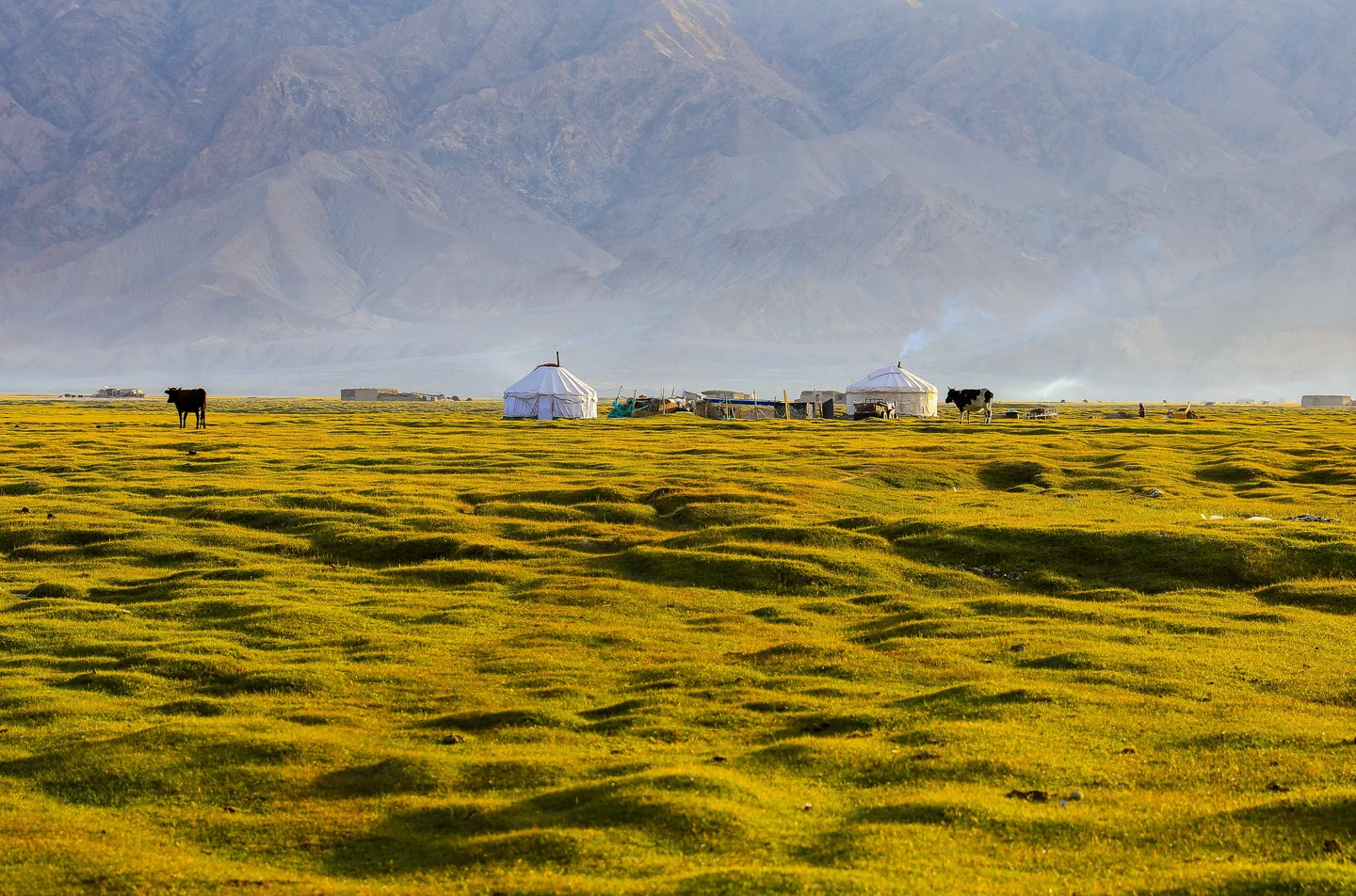 Meadow in Tashkurgan, Xinjiang, China