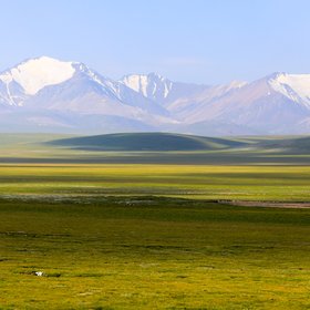 Meadow in Qilian Mountain, China