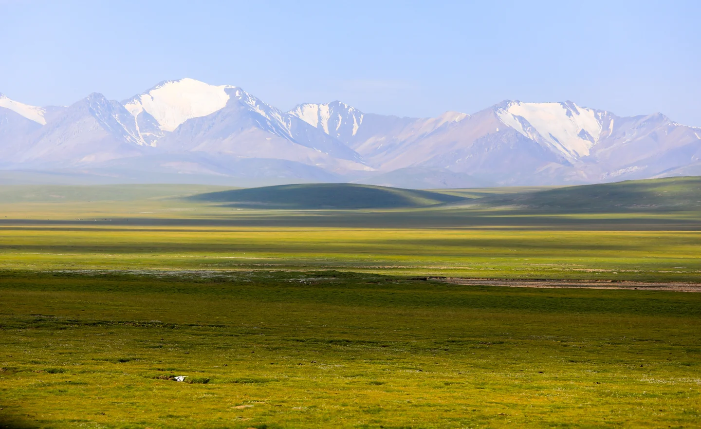 Meadow in Qilian Mountain, China