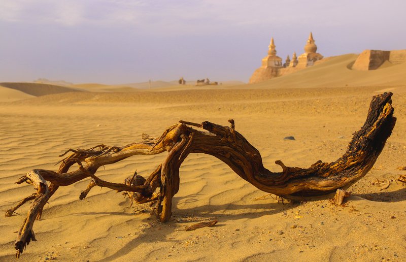 A Lost City, Ejin, Alxa, Inner Mongolia, China