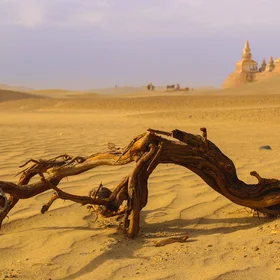 A Lost City, Ejin, Alxa, Inner Mongolia, China