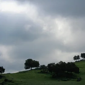 Soil slope near Cazalla de la Sierra, southern Spain