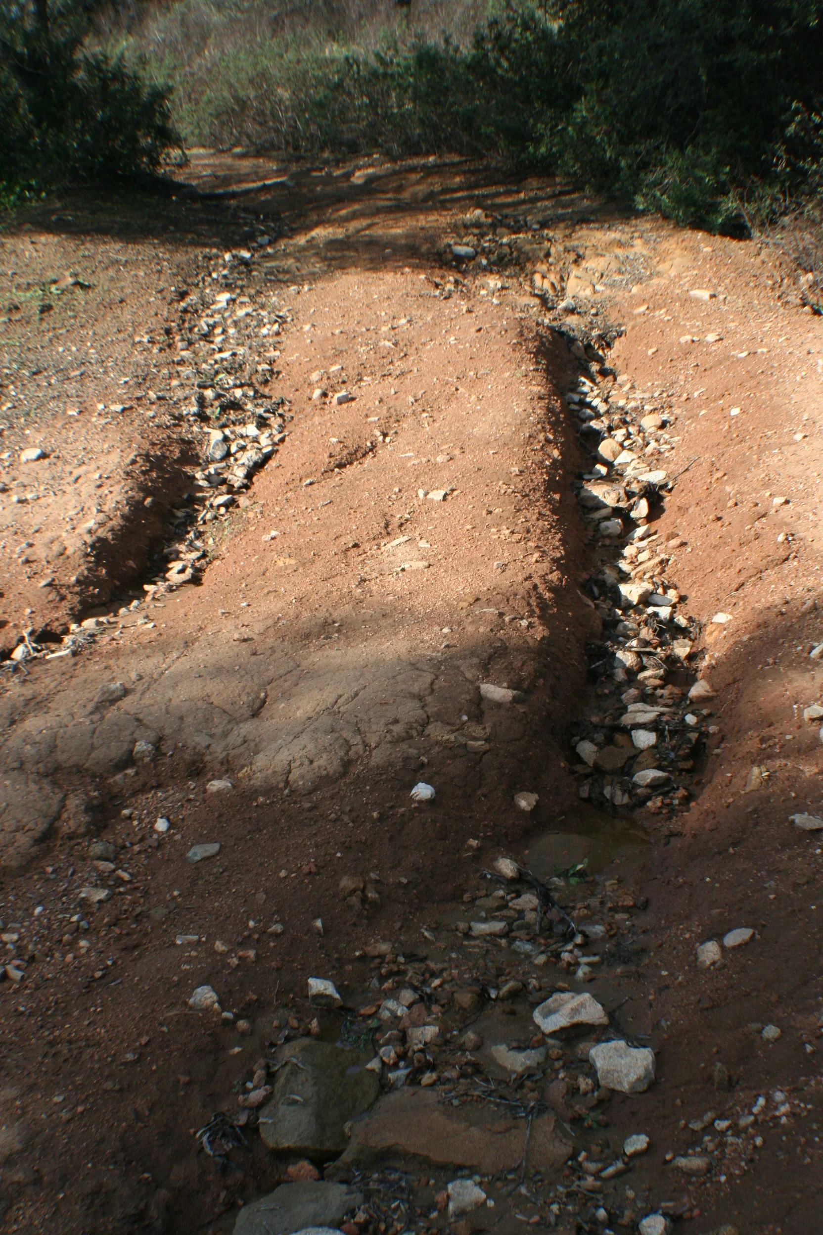 Family reunion of stones