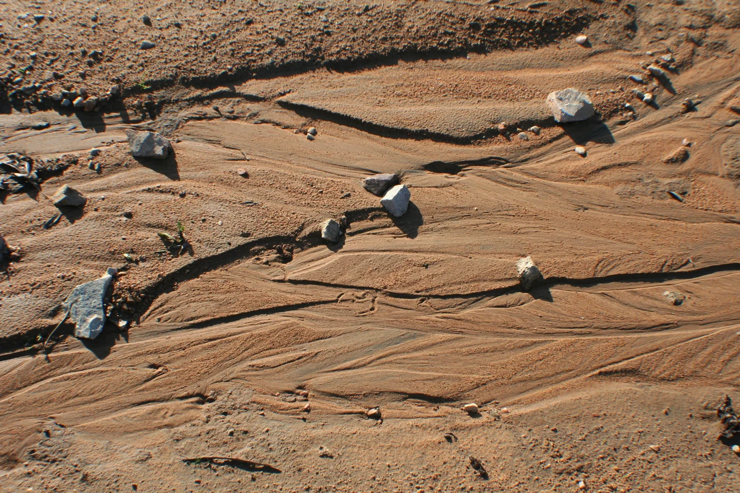 Sealed surface from an unpaved forest road