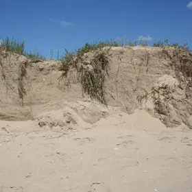 Sand dune eroded by the sea