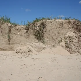 Sand dune eroded by the sea