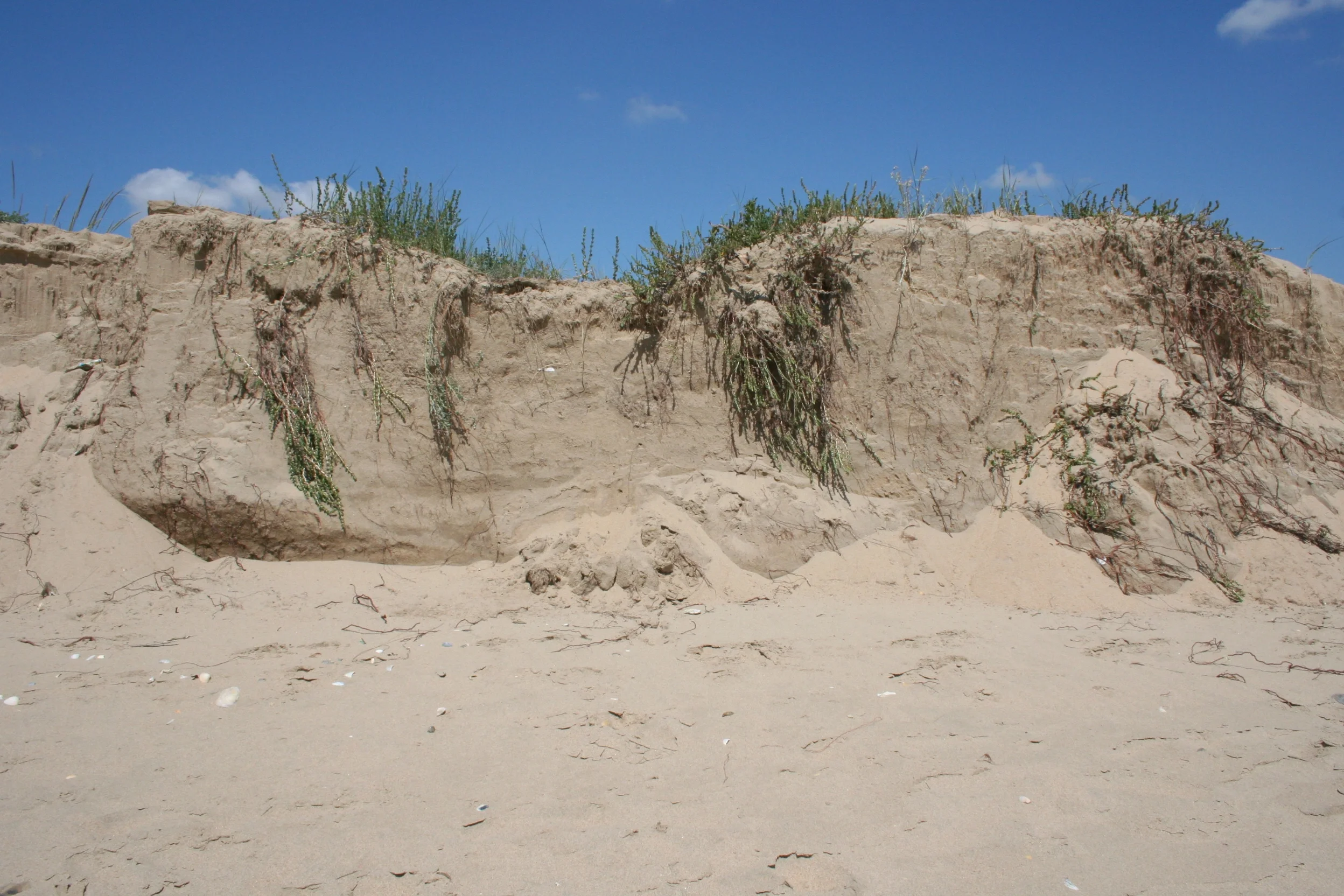 Sand dune eroded by the sea