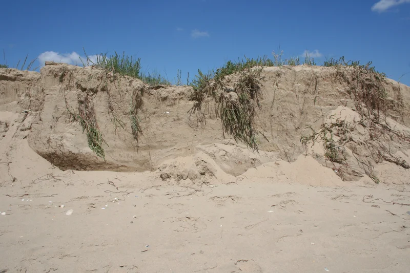 Sand dune eroded by the sea