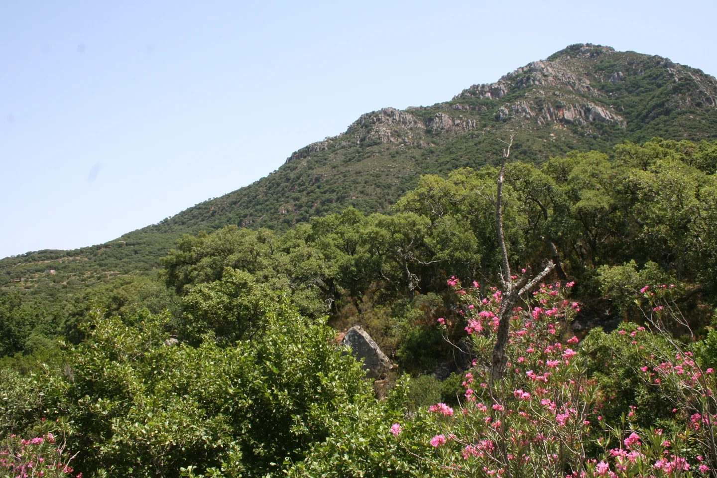 Summit of El Picacho