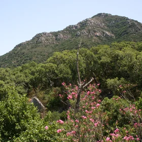 Summit of El Picacho