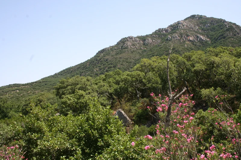 Summit of El Picacho