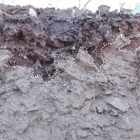 Waterfront in a stony soil after rainfall simulation