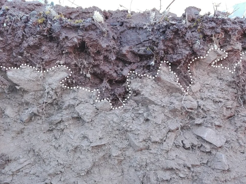 Waterfront in a stony soil after rainfall simulation