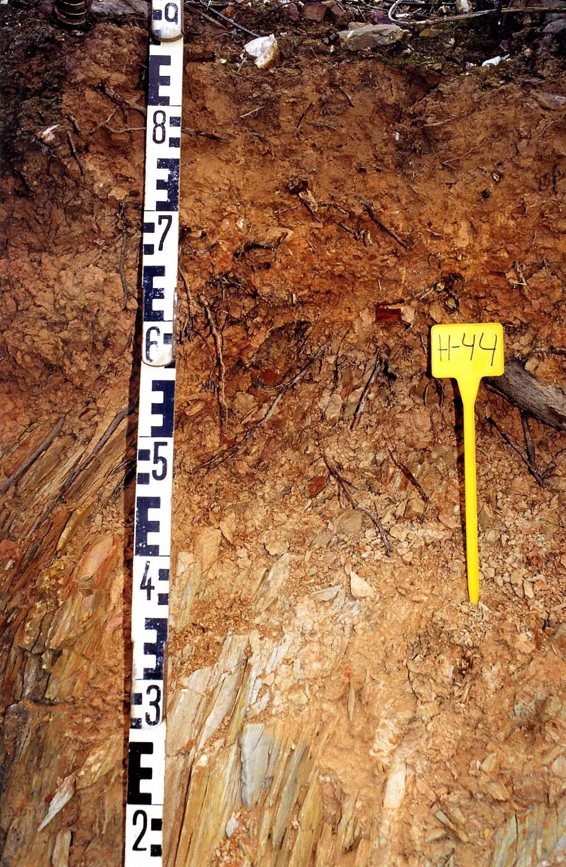 Leptic Regosol on slates near Villanueva de los Castillejos (Huelva, southwestern Spain)