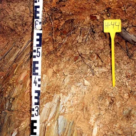 Leptic Regosol on slates near Villanueva de los Castillejos (Huelva, southwestern Spain)