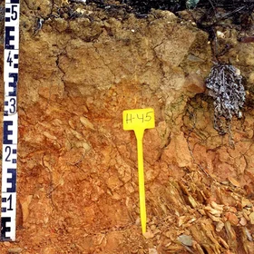 Leptic Cambisol on slates near Puebla de Guzmán (Huelva, southwestern Spain)