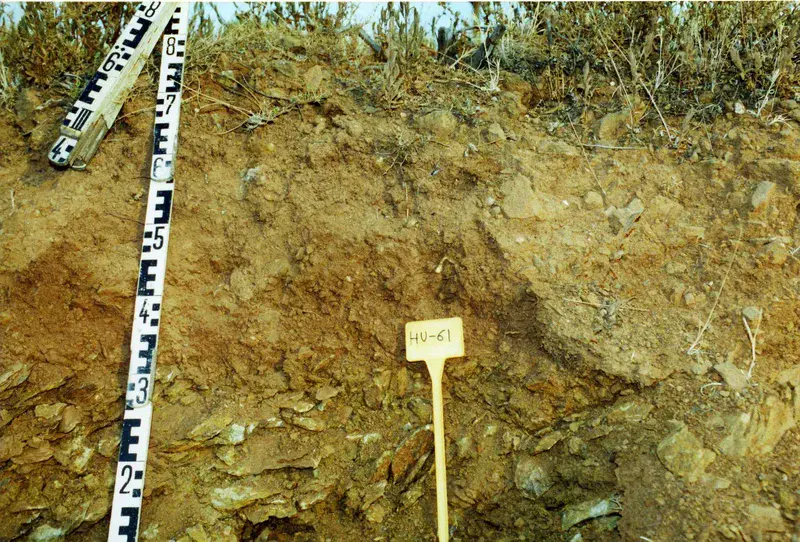 Eutric Lithic Leptosol on slates near San Silvestre de Guzmán (Huelva, southwestern Spain)