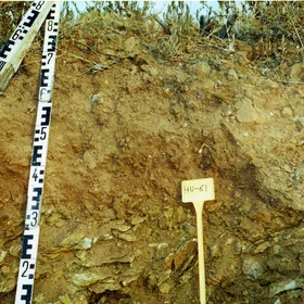 Eutric Lithic Leptosol on slates near San Silvestre de Guzmán (Huelva, southwestern Spain)
